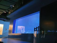 -重庆欢乐海底世界