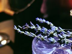 -Five沸屋·交友社交酒吧·homebar
