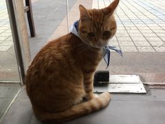 -PETKIT小佩宠物(古北店)