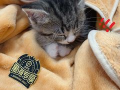 -海底捞火锅(亲子主题北金鹰店)