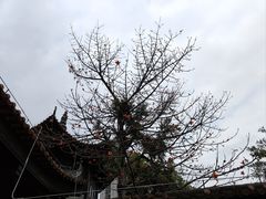 -光孝寺