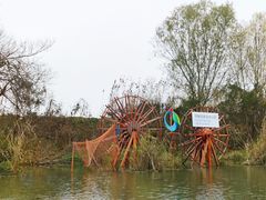 -同里国家湿地公园