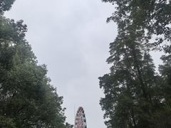-南湖梦幻岛