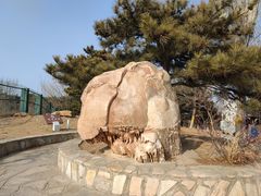 -北宫国家森林公园