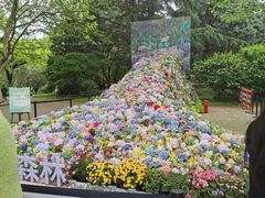 -上海共青森林公园