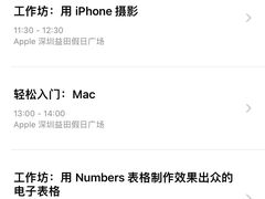 -Apple零售店(深圳益田假日广场店)