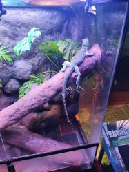 -酷嗒动物文化乐园(cutezoo西溪乐天城店)