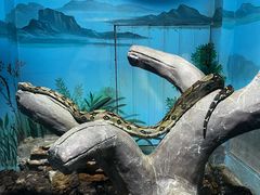 -石家庄市动物园