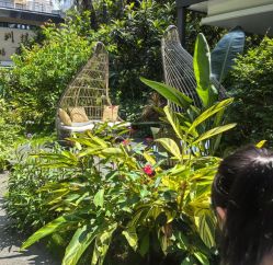 -宝生月子中心(独栋园林·福田店)