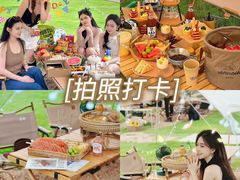-栖露营camping·天幕烧烤·团建拓展·采摘营地