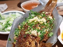 -树厨贵州菜(大十字店)