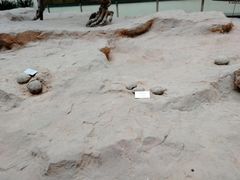 -衢州市博物馆