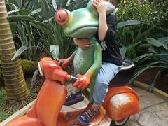 -大连森林动物园