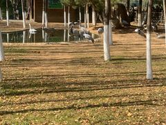 -艾溪湖湿地公园