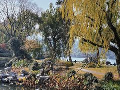 -杭州西湖柳莺里酒店·闻莺厅