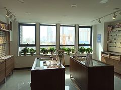 -视野联行眼镜(西站中天健广场店)