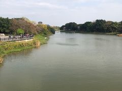 -海珠湖公园