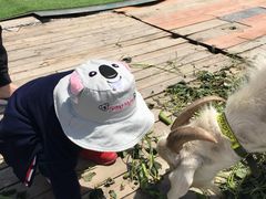 -小鱼草莓采摘园农家乐·小鱼餐厅