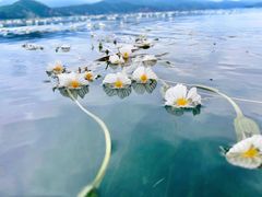 -丽江泸沽湖景区