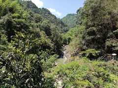 -泽雅七瀑涧景区
