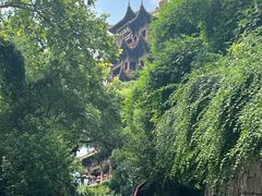 -黄鹤楼公园(黄鹤楼)