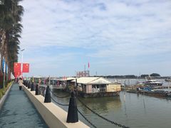 -大湾区中央湿地公园-十九涌