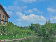 -黄陂区野村谷景区