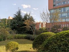 -华东师范大学第二附属中学(张江校区)