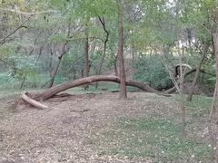 -廊坊市自然公园