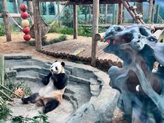 -大连森林动物园