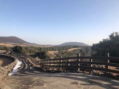 -西归浦真珠食堂