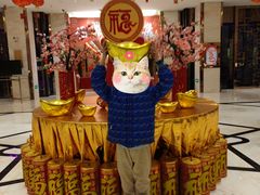 -廊坊固安福朋喜来登酒店