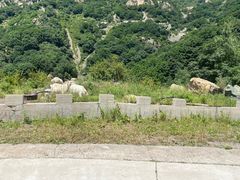 -白草畔自然风景区