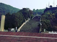 -铁山坪森林公园