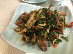 -渔娘渔家丹东海鲜(东直门店)