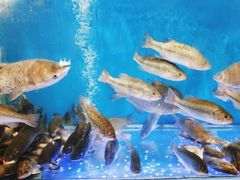 -盒马鲜生(悠方店)