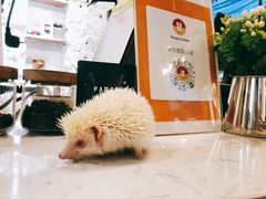 -PAUSE(恒大广场店)