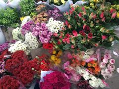 -三圣花乡旅游区