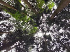 -青城山