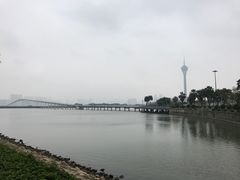 -豚王拉面(澳门银河店)