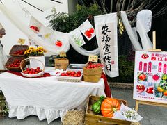 -雅达·阳羡溪山小镇中心