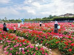 -盈香心动乐园
