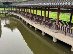 -龙头寺公园