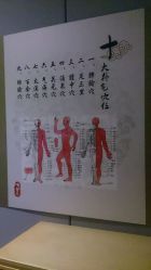 -唯伊美塑身美养连锁