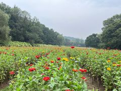 -萨尔浒风景区