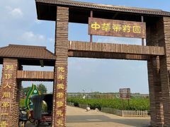 -中华茉莉园