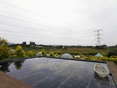 -紫颐香薰山谷景区