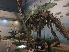 -自贡恐龙博物馆