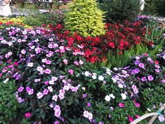 -庐山风景区花径公园