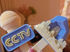 -中央广播电视总台(光华路办公区)